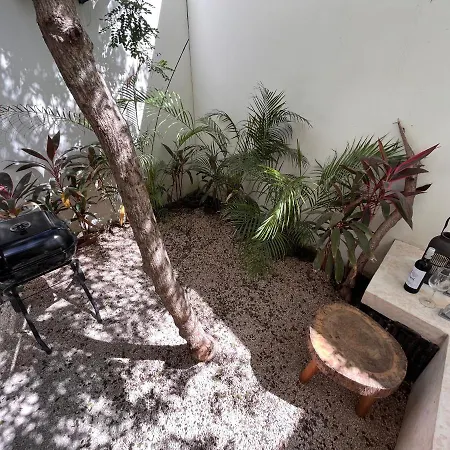 Apartment Jungle & Private Patio