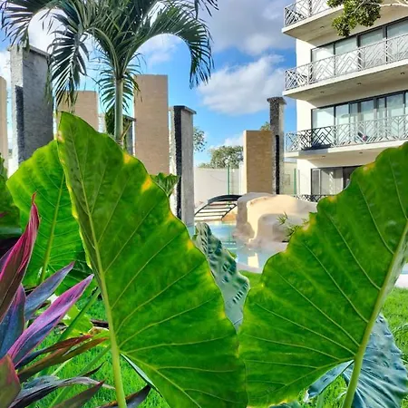 Excellence Studio For Rent In Palais P404 Apartment