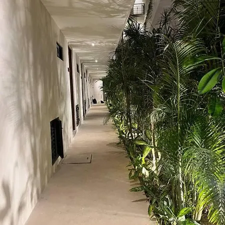 U24 De Lujo En Chaac * Tulum
