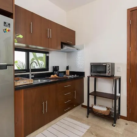 Apartment Casa Harmony- Relaxing Townhouse With Pool & Fast Internet 500mb Tulum