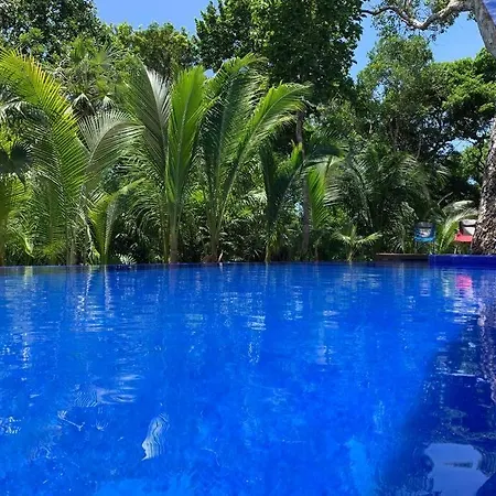 Orion Luxury Bahia Principe