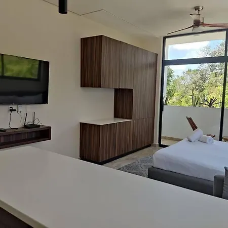 Estudio Con Balcon Totalmente Equipado