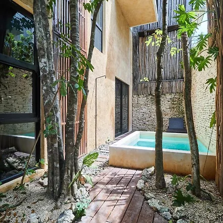 Stunning & Lovely House Luum Zama Backyard & Plunge Pool Ideal For Families Amenities * Tulum