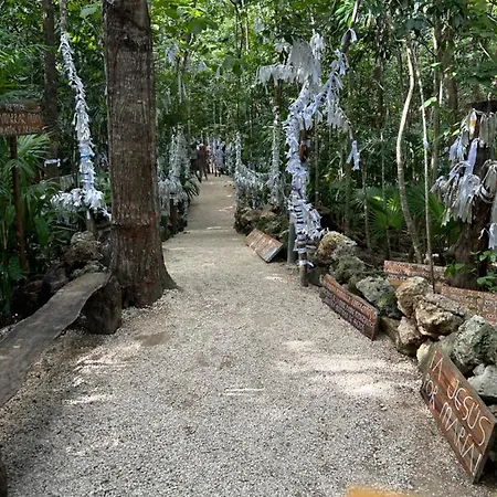 Vip Experience * Tulum