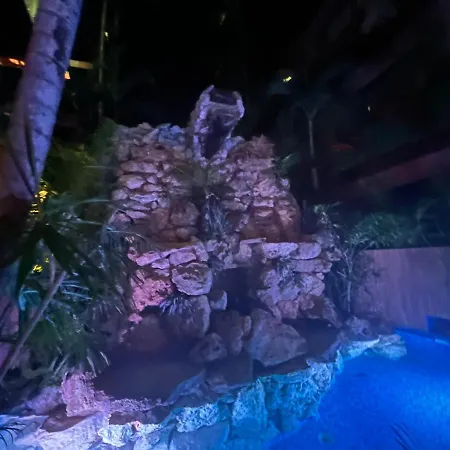 Vip Experience Tulum