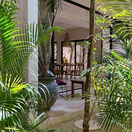 Exquisite Bohemian-chic In The Heart Of Tulum