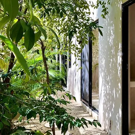 Apartment Exquisite Bohemian-chic In The Heart Of Tulum