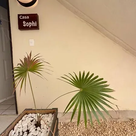 Casa Sophi, 500 M De Zamna, Cenotes, Piscina Apartment Tulum