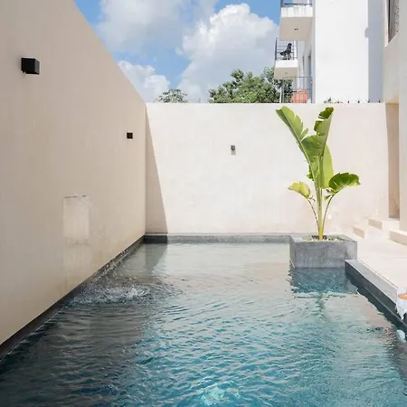 Amazingly Cozy Fitness & Meditation Zone Apartment