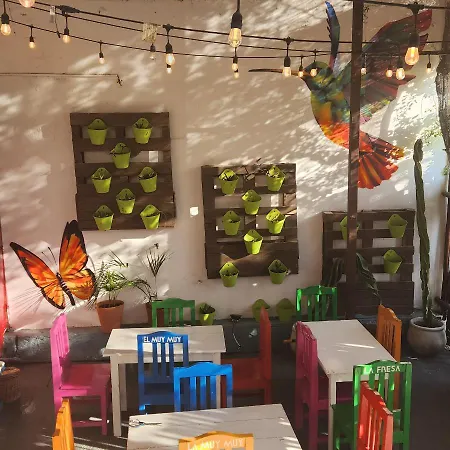 Casa Frida Hotel Tulum
