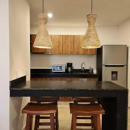 Aldea Zama 2br /private Plunge Pool/gym/roof Tulum