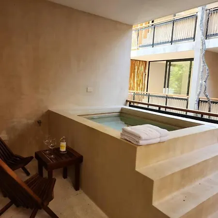 Aldea Zama 2br /private Plunge Pool/gym/roof Apartment Tulum