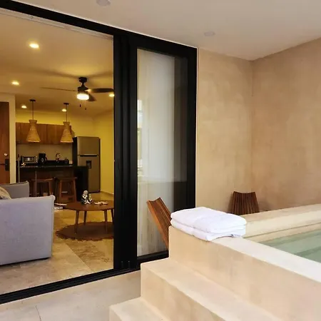 Aldea Zama 2br /private Plunge Pool/gym/roof Apartment