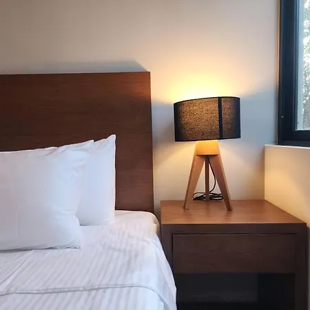 Aldea Zama 2br /private Plunge Pool/gym/roof * Tulum