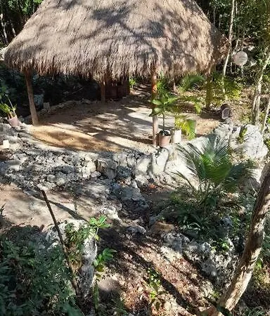 Apartment Bungalow Maya *