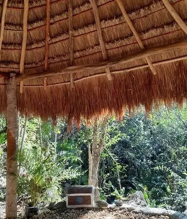 Apartment Bungalow Maya *