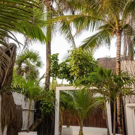 Shambala Petit Tulum
