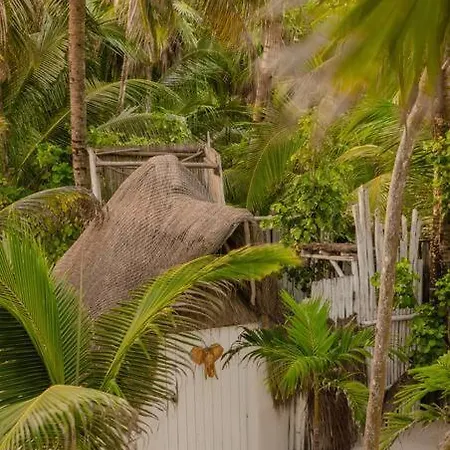 Shambala Petit * Tulum