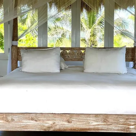 Shambala Petit * Tulum