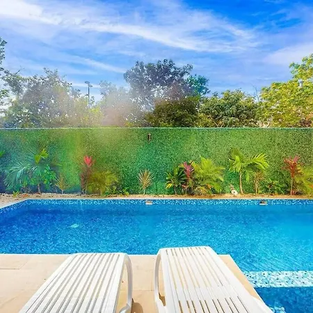 Magnificent With Dreamy Pool Apartment
