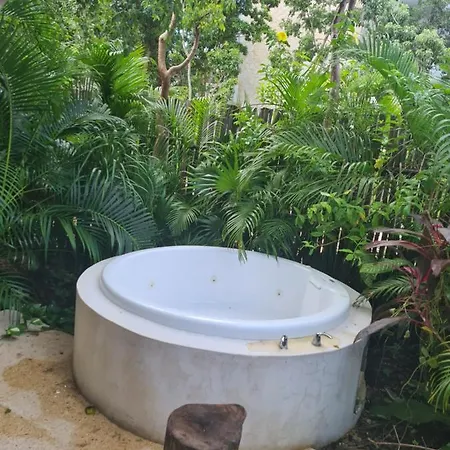 Incredible In With Private Jacuzzi *