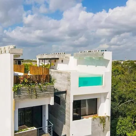 Apartment Lujoso Departamento Con Alberca Privada Pb2