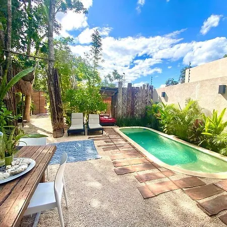 New Jungle 10-12ppl-private Pool And Grill
