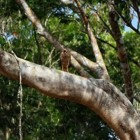 Selva De Luz Jungle Holiday home Tulum