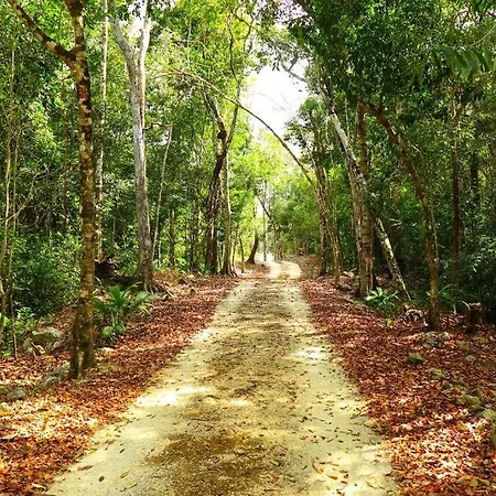 Selva De Luz Jungle Tulum