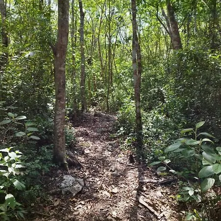 Holiday home Selva De Luz Jungle *