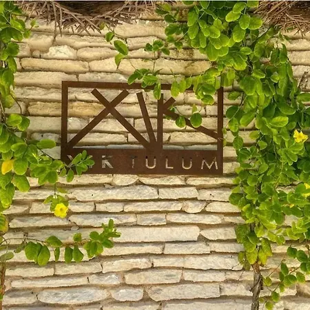 Hermoso Condominio Boutique Con 8 Departamentos De Lujo Con Alberca Privada Estilo Mexicano Moderno Ubicado En La Veleta * Tulum