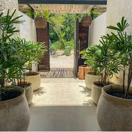 Hermoso Condominio Boutique Con 8 Departamentos De Lujo Con Alberca Privada Estilo Mexicano Moderno Ubicado En La Veleta *