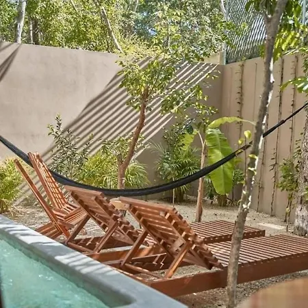 Hermoso Condominio Boutique Con Solo 8 Estudios De Lujo Con Su Propia Alberca Estilo Mexicano Moderno Apartment *