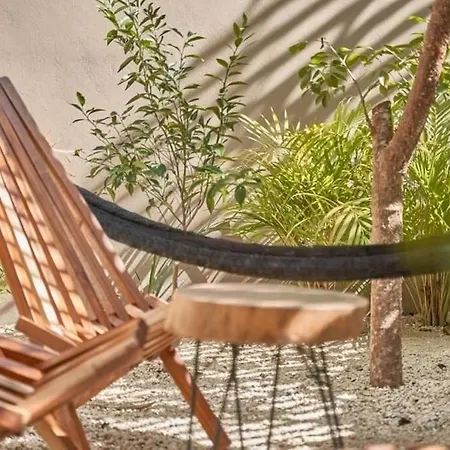 Apartment Hermoso Condominio Boutique Con Solo 8 Estudios De Lujo Con Su Propia Alberca Estilo Mexicano Moderno