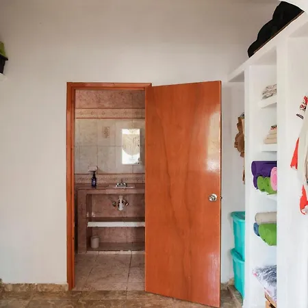 House Of The Art With Rooftop Homestay