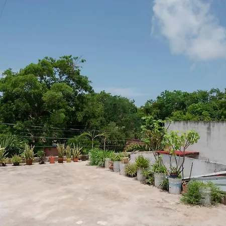 House Of The Art With Rooftop *