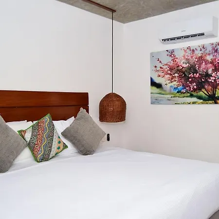 Hotel Zendero 4*