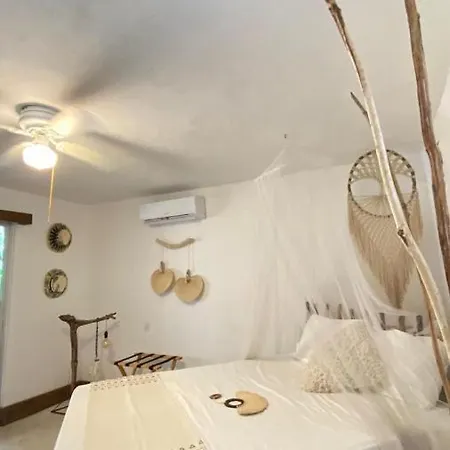 Hotel Icastico *