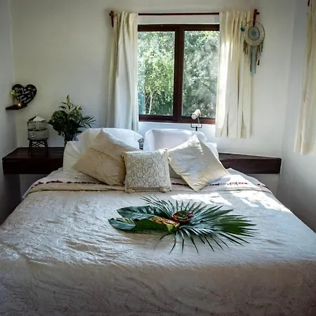 Bed & Breakfast Agua Y Fuego 3*