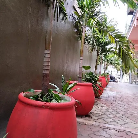 Centro, Party Tulum