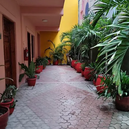 Centro, Party Hotel *