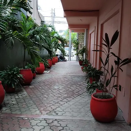 Centro, Party Tulum