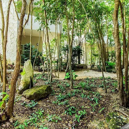 El Vivero Tulum