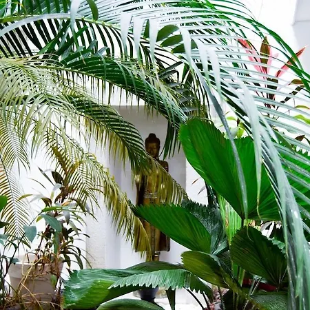Zendero Hotel 4*