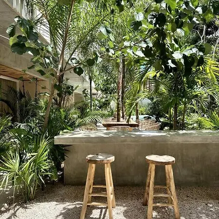 Nuevo Jungle Paradise Tulum