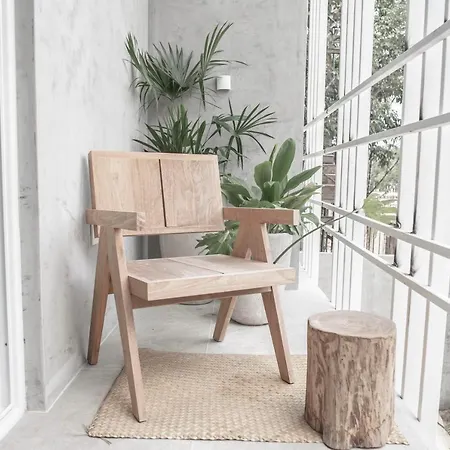 Jungle Chic By Blanca