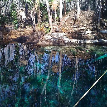 Exotic Eco House In Jungle With Private Cenote