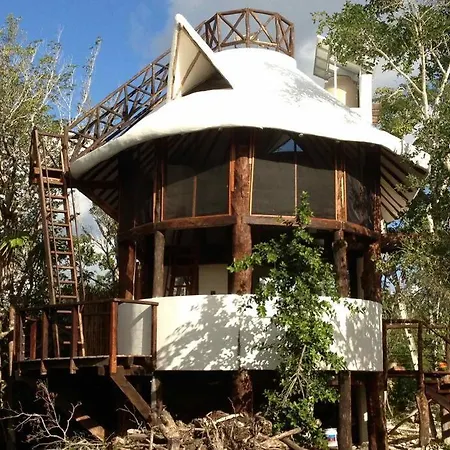 Exotic Eco House In Jungle With Private Cenote * Tulum