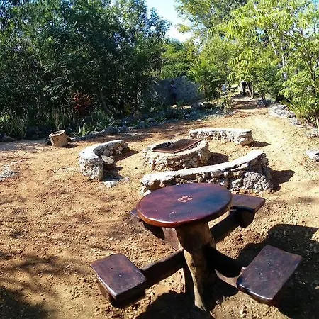 Exotic Eco House In Jungle With Private Cenote Holiday home
