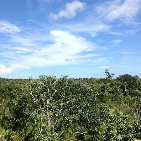 Holiday home Exotic Eco House In Jungle With Private Cenote *